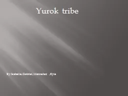 Yurok  tribe
