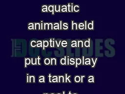 WHAT ARE AQUARIA An aquarium is a collection of aquatic animals held captive and put on display in a tank or a pool to entertain and amuse the public