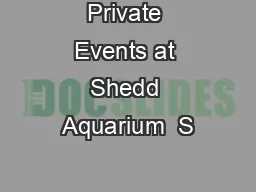 Private Events at Shedd Aquarium  S