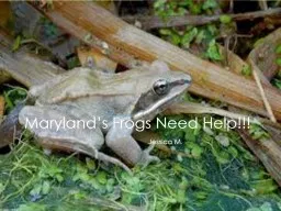 Maryland’s Frogs Need Help!!!