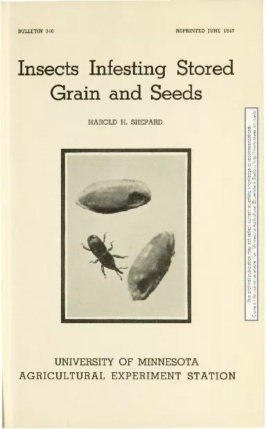 INSECTS INFESTING STORED GRAIN AND SEEDS 31 FLINT, W.