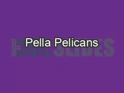 Pella Pelicans