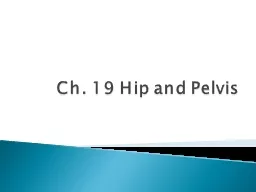 Ch. 19 Hip and Pelvis