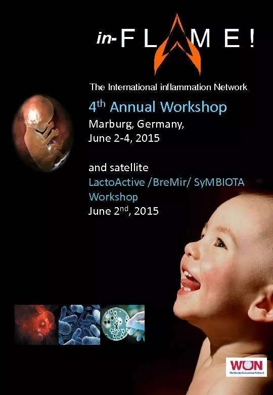 The International inflammation NetworkAnnual WorkshopMarburg, Germany,