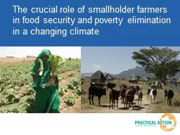 The crucial role of smallholder farmers in food security an