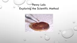 Penny Lab:
