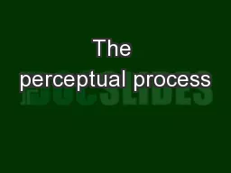 The perceptual process