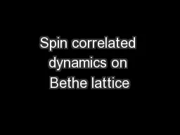Spin correlated dynamics on Bethe lattice