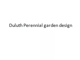 Duluth Perennial