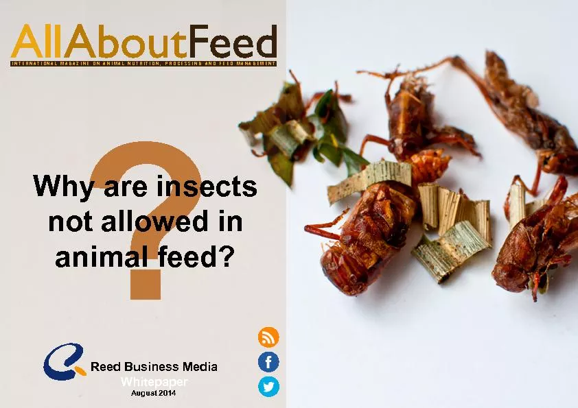 ?Why are insects not allowed in animal feed?Reed Business MediaWhitepa