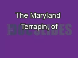 The Maryland Terrapin, of�cially the Diamondback Terrapin,