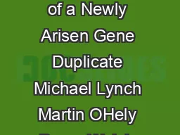 Copyright  by the Genetics Society of America The Probability of Preservation of a Newly Arisen Gene Duplicate Michael Lynch Martin OHely Bruce Walsh and Allan Force Department of Biology Indiana Uni