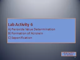 Lab Activity 6