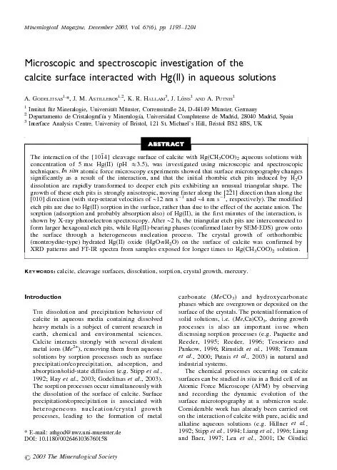 Microscopicandspectroscopicinvestigationofthecalcitesurfaceinteractedw