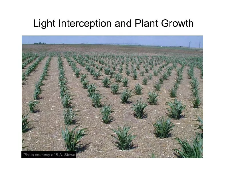 Light Interception and Plant Growth