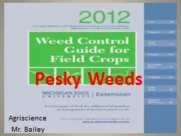 Pesky Weeds