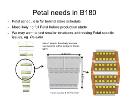 Petal needs in B180