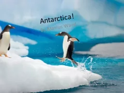 Antarctica!