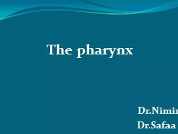 The pharynx