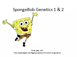 SpongeBob Genetics 1 & 2