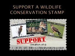 Support a Wildlife Conservation Stamp