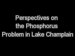 Perspectives on the Phosphorus Problem in Lake Champlain