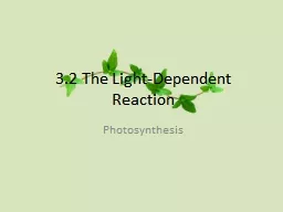 3.2 The Light-Dependent Reaction