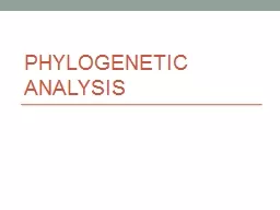Ph ylogenetic analysis
