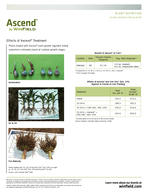 Boost corn development with a plant growth regulator Formulated for Healthy Growth Accelerate leaf stem and root growth and health with Ascend plant growth regulator