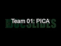 Team 01: PICA