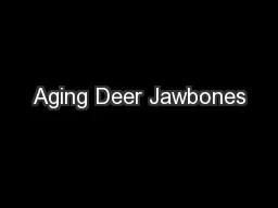 Aging Deer Jawbones