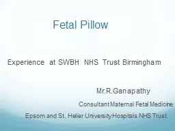 Fetal Pillow