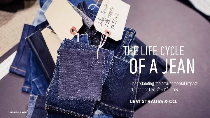 THE LIFE CYCLEUnderstanding the environmental impact of a pair of Levi
