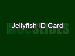 Jellyfish ID Card