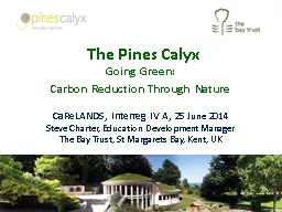 The Pines Calyx