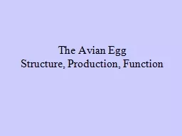 The Avian Egg