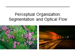 Perceptual Organization: