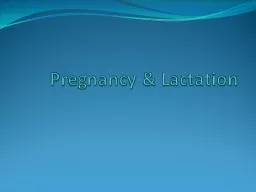 Pregnancy & Lactation