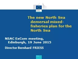 The new North Sea demersal mixed-fisheries plan for the Nor