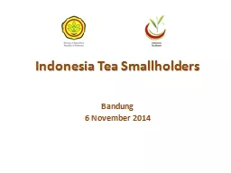 Indonesia Tea Smallholders