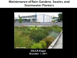 Maintenance of Rain Gardens, Swales, and