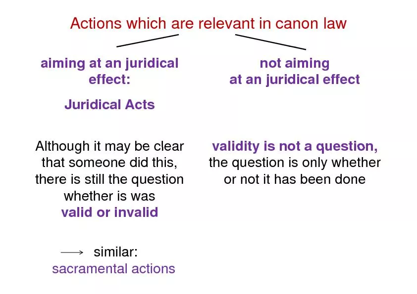 Actions which are relevant in canon law
