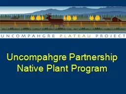 Uncompahgre Partnership Native Plant Program