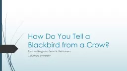 How Do You Tell a Blackbird from a Crow?