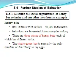 E.6   Further Studies of Behavior