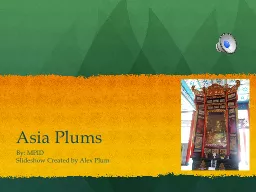 Asia Plums