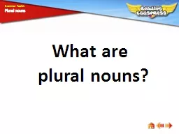 What are plural nouns?