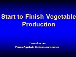 Start to Finish Vegetable Production