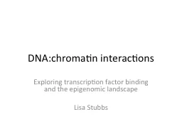 DNA:chromatin