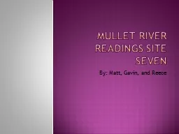 Mullet River Readings